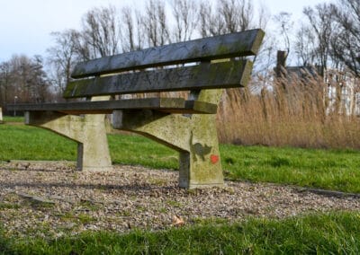 Katten in Quelderduyn streetart 7