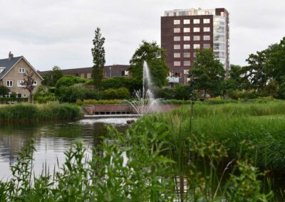 Acrobaten - Timorpark, vijver