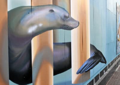 Zeehond 3dkunst Adry del Rocio