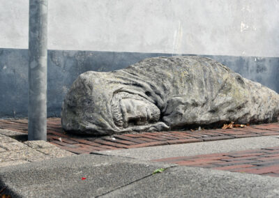 Ingezoomd zwerver koningdwarsstraat