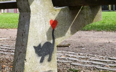 Katten in Quelderduyn