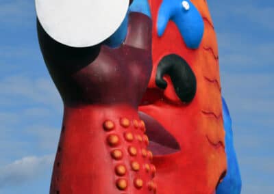 Waar kijkt hij naar? Junior College Julianadorp