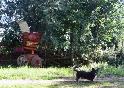 Hidde en sculptuur Tobi Mohring