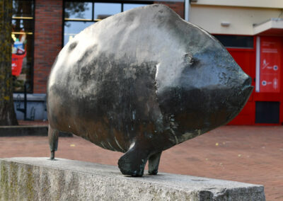 Beeld Vis voor Vomar Voordeelmarkt