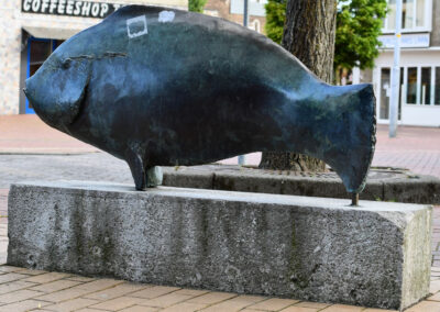 Beeld Vis Koningdwarsstraat