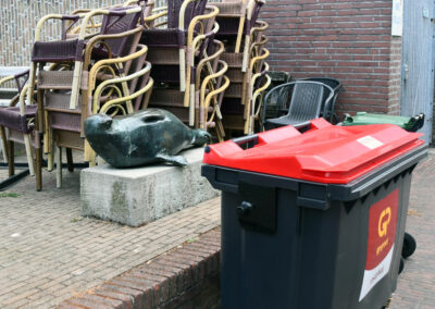 Zeehond met lelijk uitzicht breewaterplein