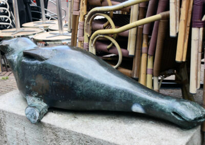 Zeehond weggestopt op het breewaterplein