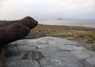 Zeeleeuwen met fontijn door Karl Pelgrom