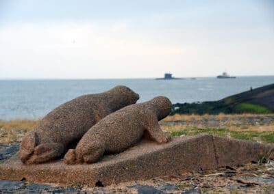 Zeeleeuwen kijken naar uitvarende onderzeeboot