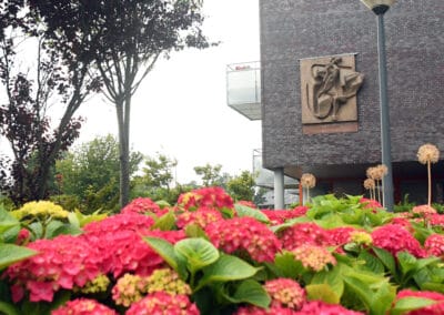 Overzichts foto de jeugd vliegt uit