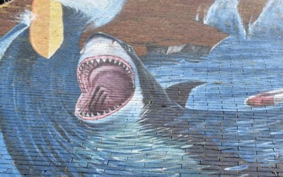 Shark Attack